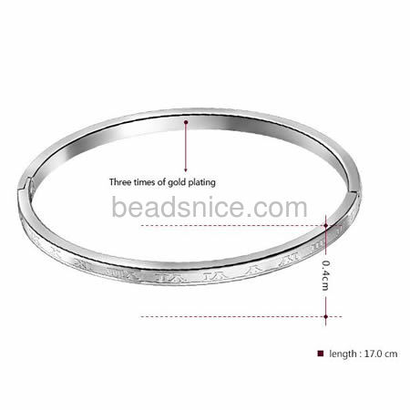 Stainless Steel Jewelry Bracelet Bangle