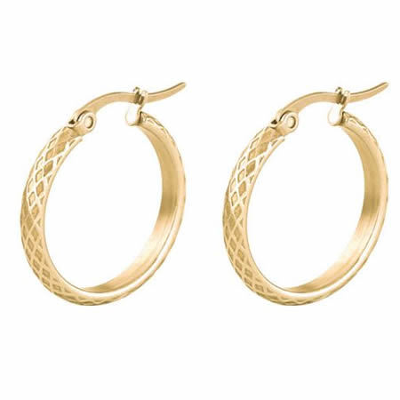 Round Circle Hoop Gold Stainless Steel Earrings