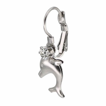 Stainless Steel Fashion Women's Earrings With Dolphin Pendant Charm
