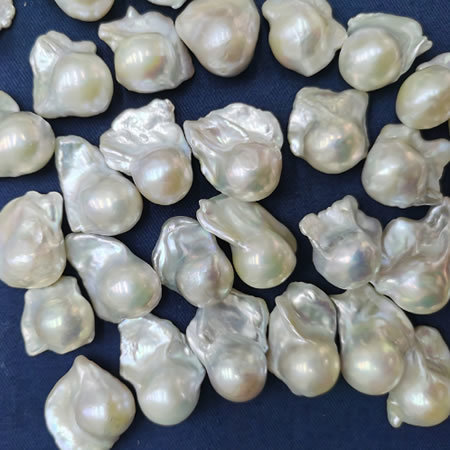 Natural South Sea Shell Beads