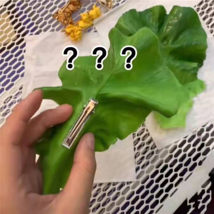 Lettuce hairpin