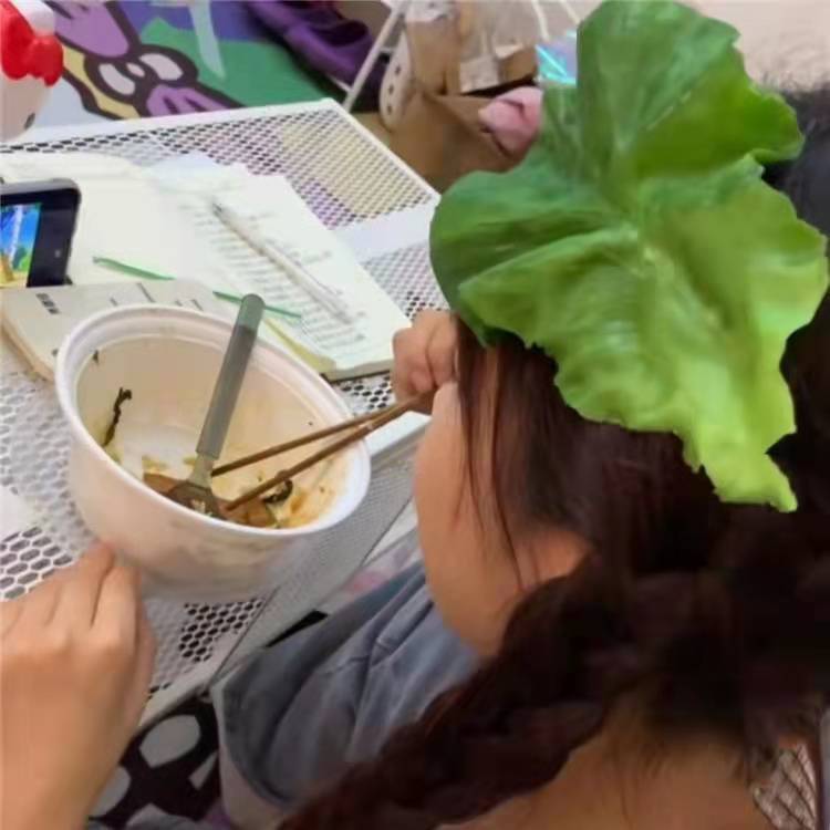 Lettuce hairpin