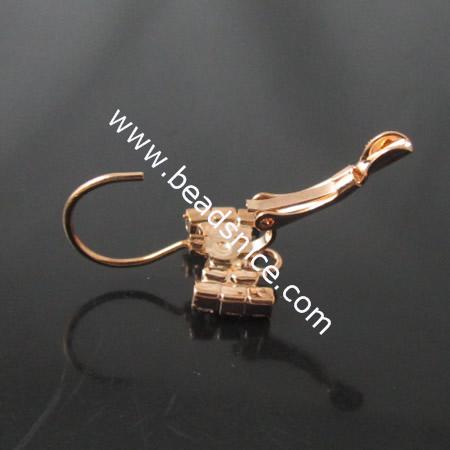 Leverback earwires ,brass