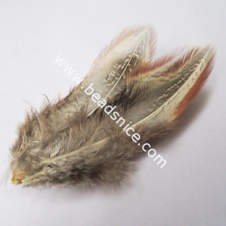 Natural  Feathers,12x5cm,