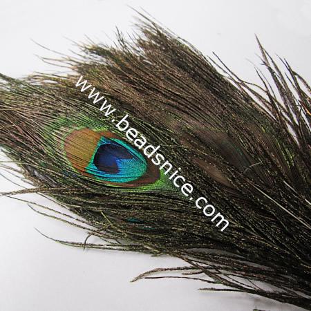 Natural  Feathers,26x8cm,