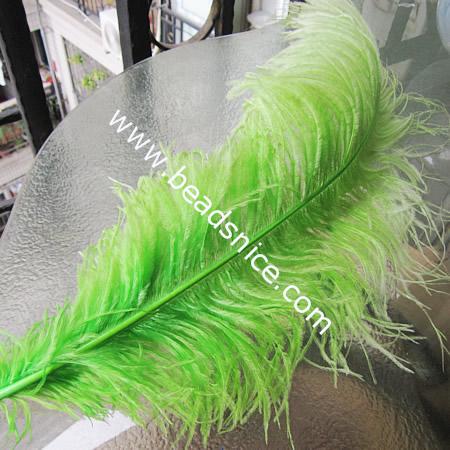 Natural  Feathers,70cm,