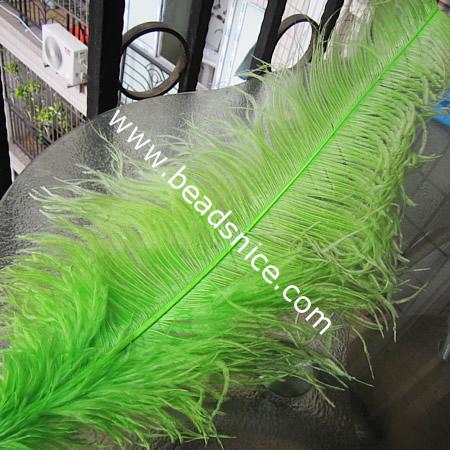 Natural  Feathers,70cm,