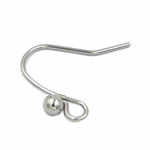 Stainless Steel Earwires