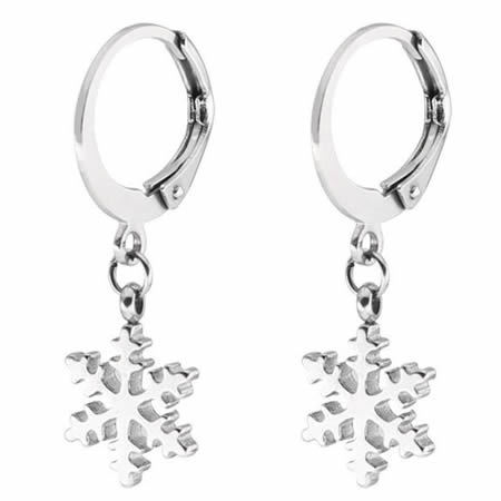 Stainless Steel Fashion Women's Earrings With Fnowflake Pendant Charm