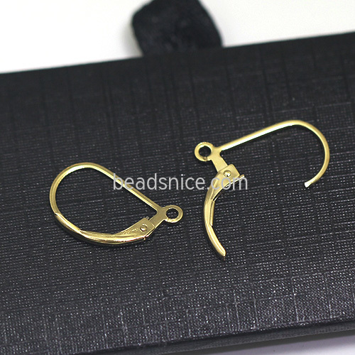 Gold Filled Leverback Earwires
