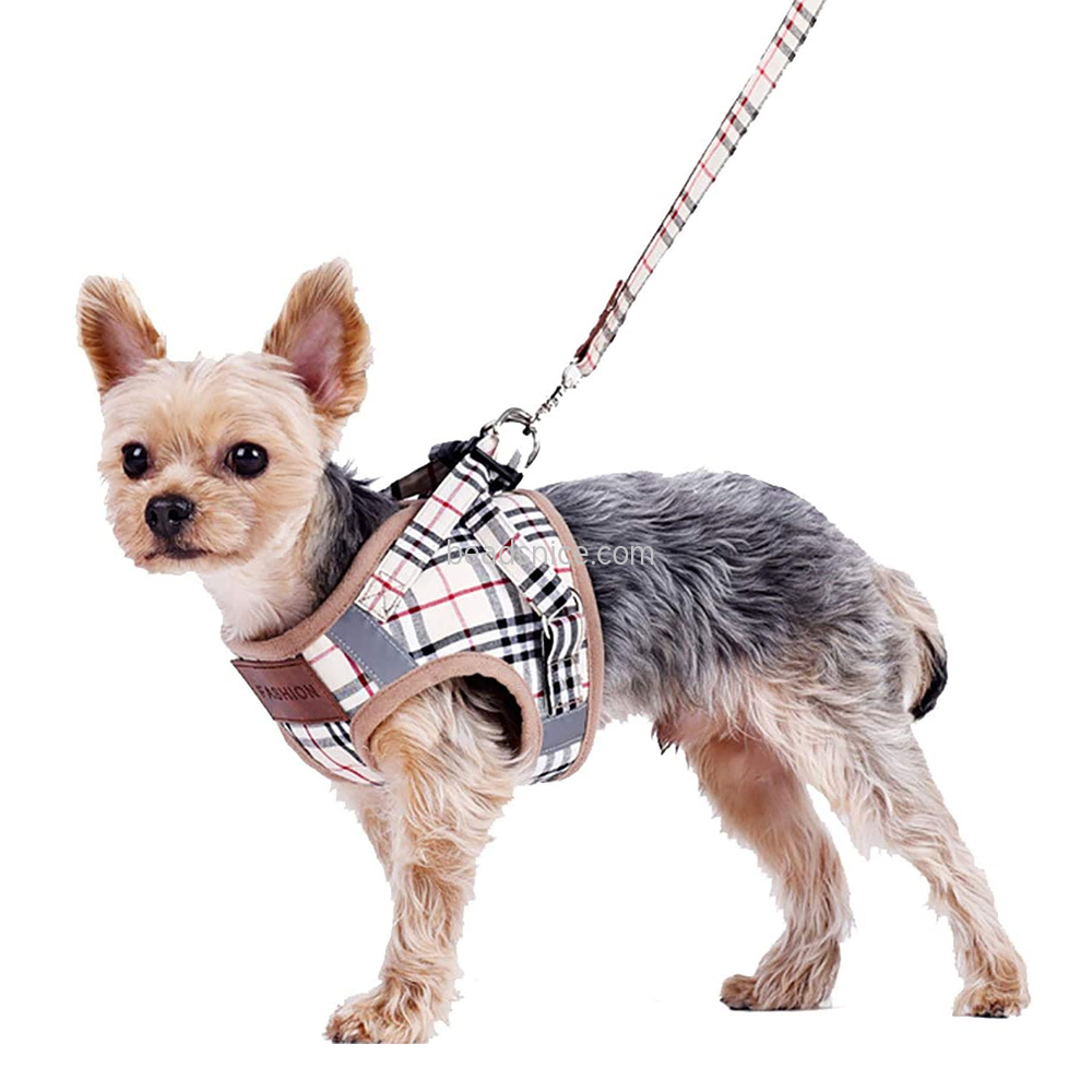 Small Dog Harness and Leash Set, Adjust Mesh Dog Harness for Small Dogs/Chihuahua