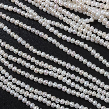 Natural South Sea Shell Beads
