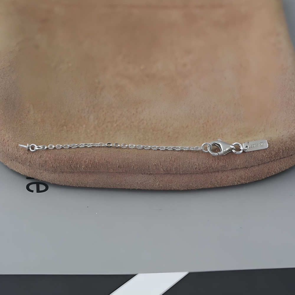 Sterling Silver Lobster Clasp Extender Chain Lab Verified Necklace Adjuster