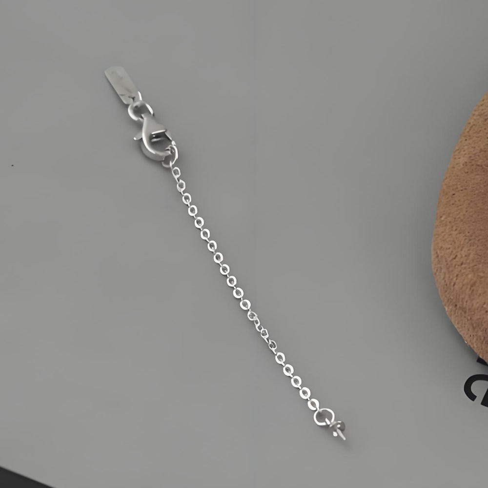 Sterling Silver Lobster Clasp Extender Chain Lab Verified Necklace Adjuster