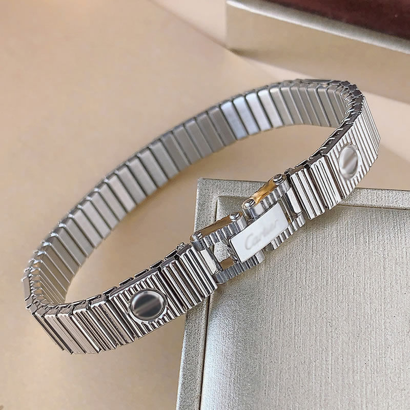 New European and American hot selling light luxury high-end stainless steel elastic bracelet